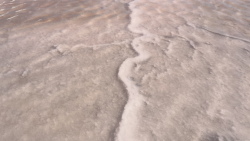 Salt Fault