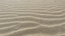 Sand Ripples