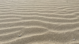 Sand Ripples by Finnvian