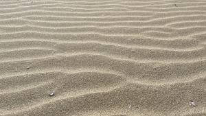 Sand Ripples.png