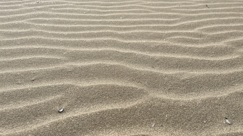 File:Sand Ripples.png